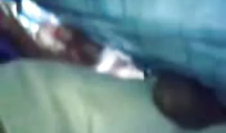 Mamá pájaro negro sentado en la peliculas xxx español latino cama