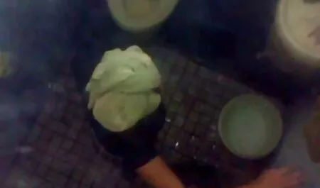 Chica lamiendo culo a su peliculas xxx en español latino amante