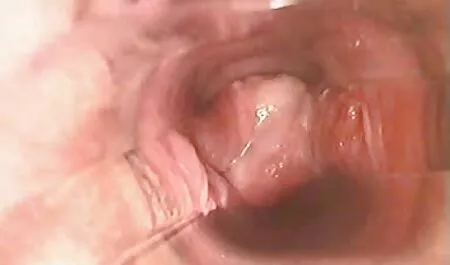 Blanco tirando de un miembro videos pornos en latino